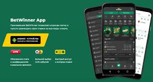 BetWinner Betting Platform Your Ultimate Guide to Smart Betting