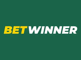 Exploring BetWinner Casino Your Guide to Online Gaming