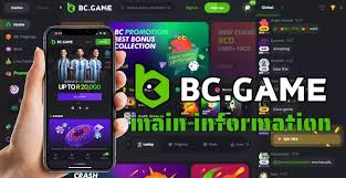 Exploring the Excitement of BC.Game Crypto Casino