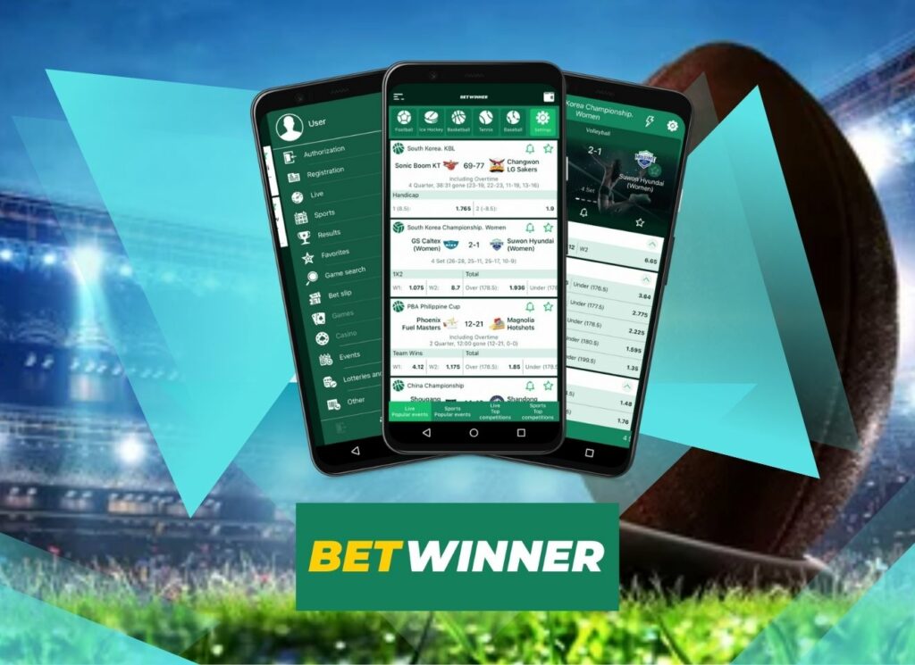 Understanding BetWinner's Privacy Policy Your Data, Your Rights