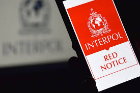 Understanding Interpol Red Notice Removal A Comprehensive Guide 1329217020