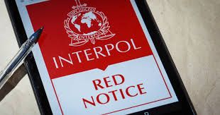 Understanding Interpol Red Notice Removal A Comprehensive Guide 1333243238