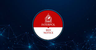 Understanding Interpol Red Notice Removal A Comprehensive Guide 1333243238
