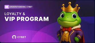 A Comprehensive Guide to Cybet Crypto Casino