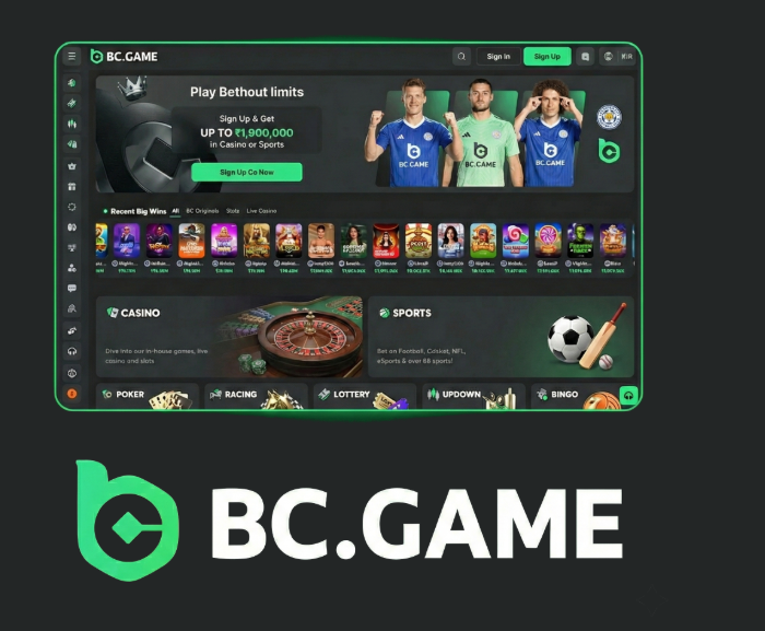 Guide to BC.Game Mirror Login Accessing Your Favorite Games