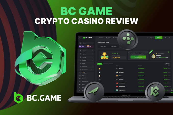 Unlocking the Potential BC.Game Bonuses and Promo Codes Explained